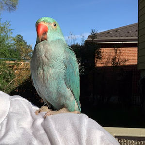 Meet your Posher, X.